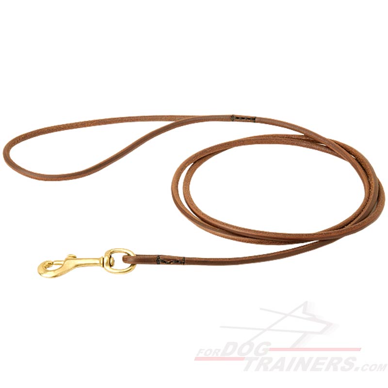 best leather dog leash
