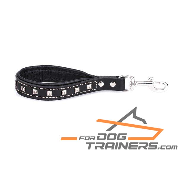 Leather Dog Leash with Unique Decorations