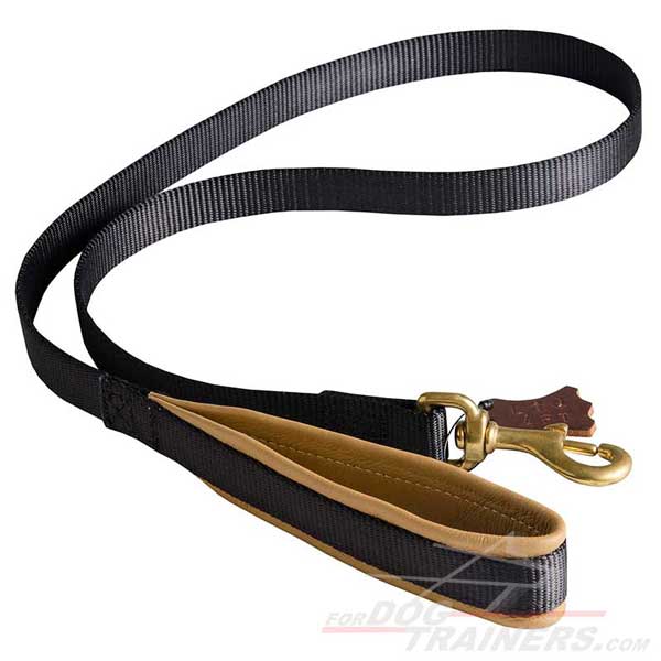 Practical nylon dog leash