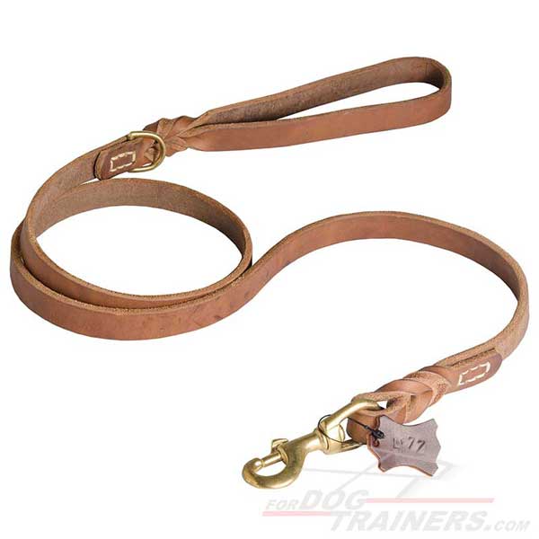 Training Leather Dog Leash