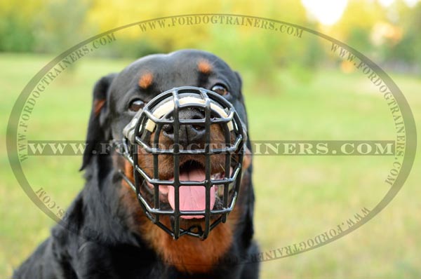 Rottweiler wire cage dog muzzle