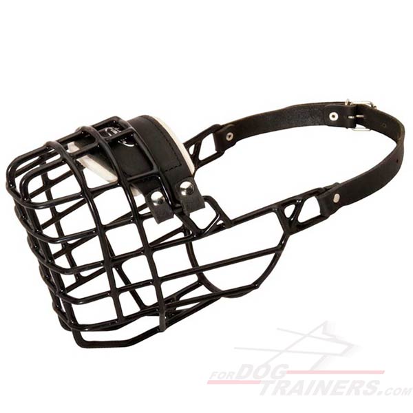 Wire cage rubber covered dog muzzle