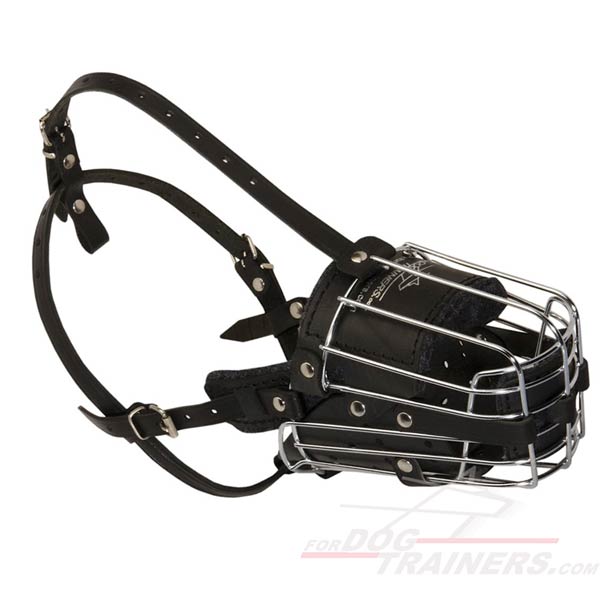 Adjustable leather straps training muzzle