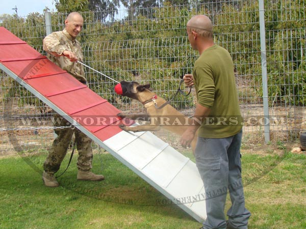 Malinois Dog Toy for training