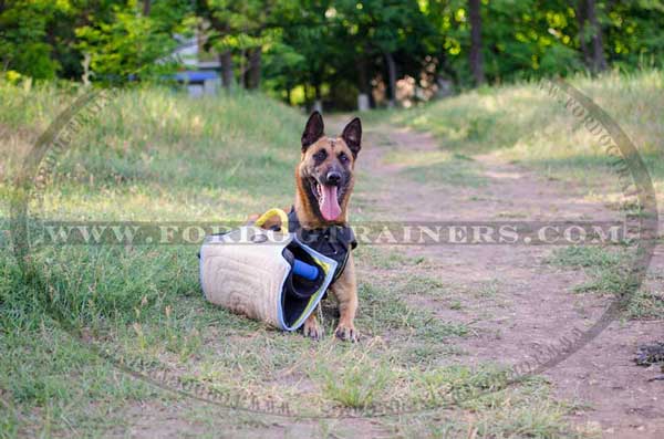 Bite Training Builder for Belgian Malinois