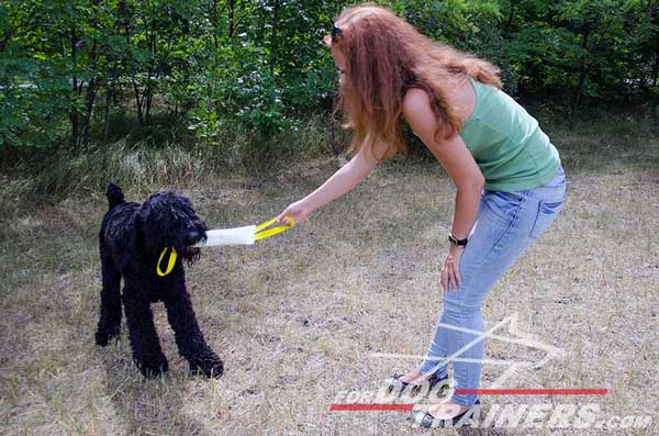 Black Russian Terrier Bite Training Tug