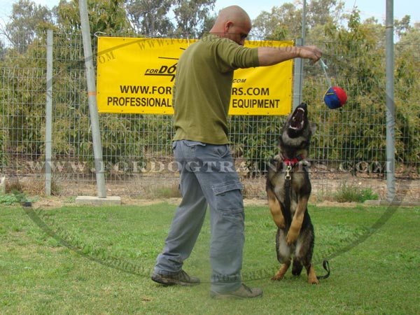Bite Ball for Training German Shepherd puppies and young dogs