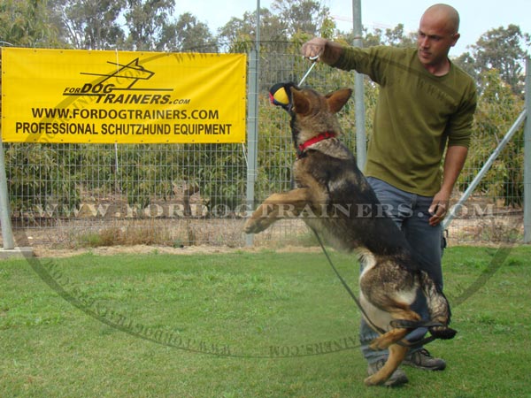 Bite Training Ball made of French Linen