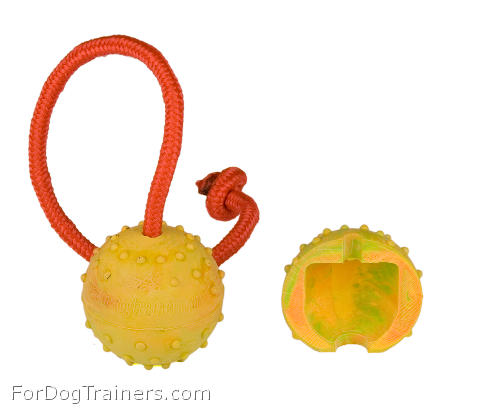 Training ball for dogs
