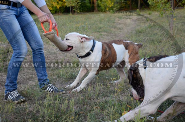 Stuffed Jute bite Tug for American Bulldogs