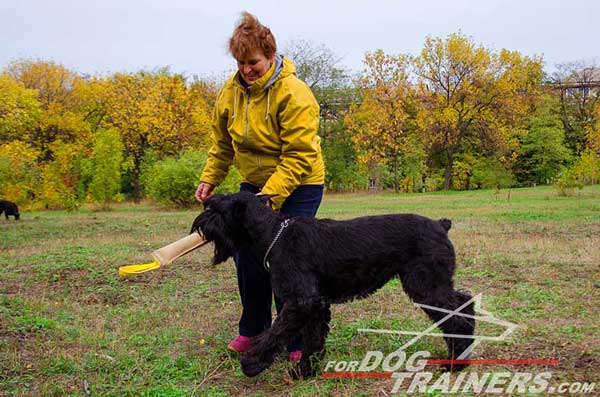 Bite Training Leather Tug for Riesenschnauzer