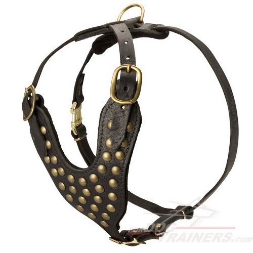 Studded Walking leather dog harness to fit Boerboel Mastiff