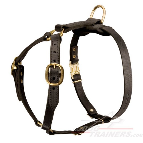 Luxury handcrafted dog harness for British Bulldog