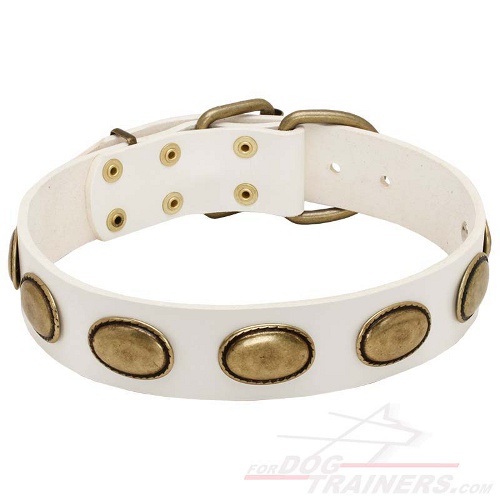 Purchase White Leather Dog Collar with Vintage Plates
