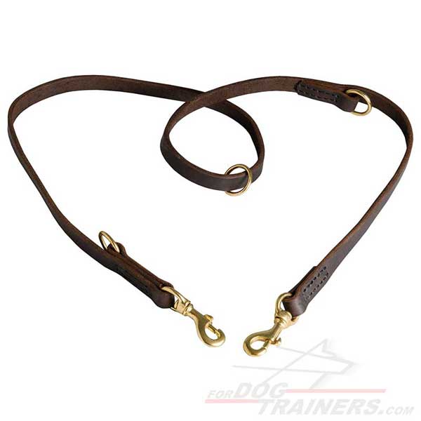 Best choice leather dog leash