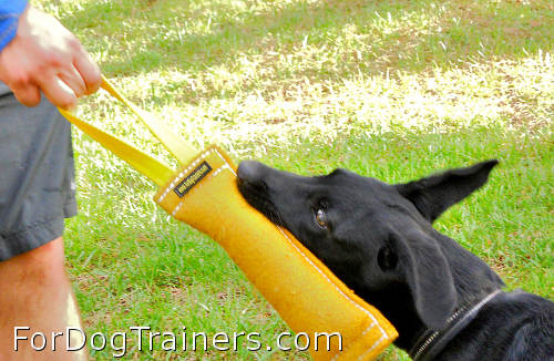 Happy dog plays with Dog bite tag ( dog bite tug ) made of french linen