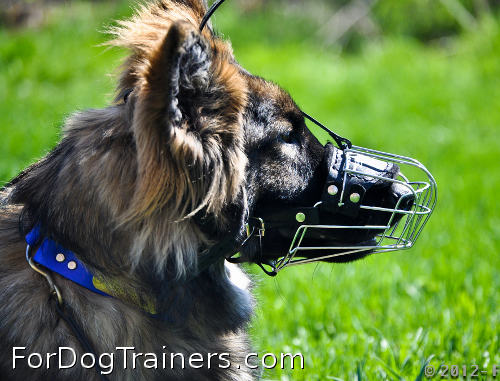 Kastle is delightful in Basket Dog Muzzles (All Sizes)
