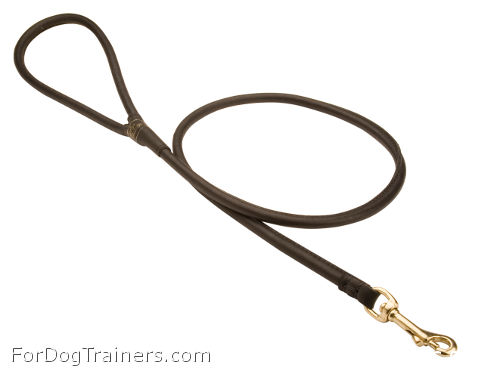Maximally comfortable leather leash for daily walks