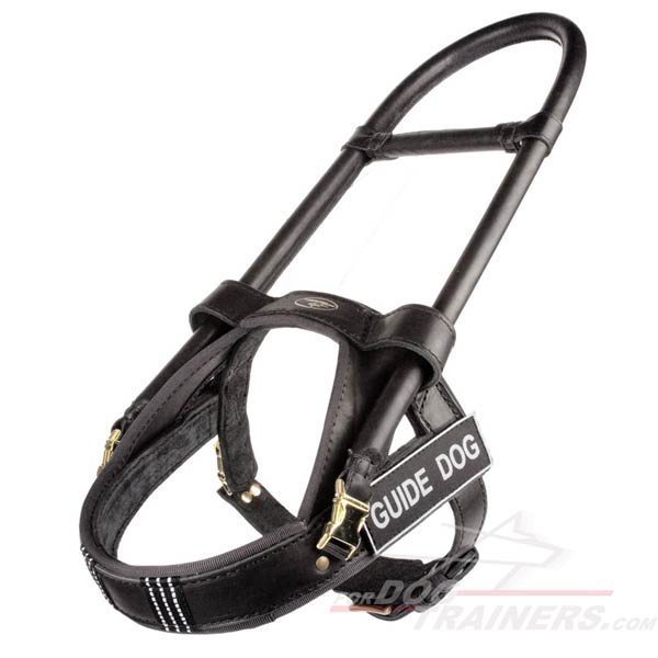 Reliable and Affordable Leather Harness