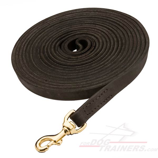 Absolutely reliable dog leash
