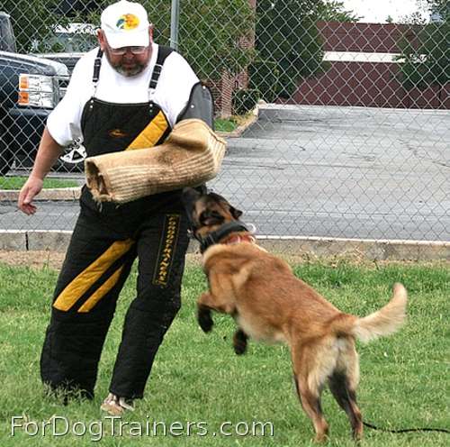 Raven finally got for his training Intermediate dog sleeve bottom part replacement - PS14juteBottom