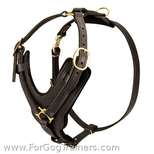 Special design leather dog harness