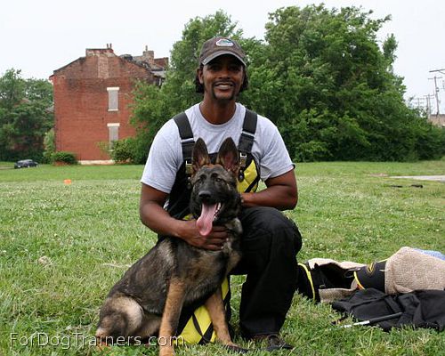 Ouniel training his Saskia - German shepherd in our All Weather dog training Apron - PBS7N