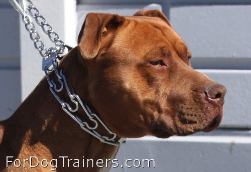 50146 (02) (3.99) Collar with swivel