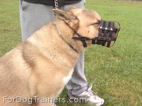 Akita in Everyday Light Weight Super Ventilation Akita muzzle - product code M41