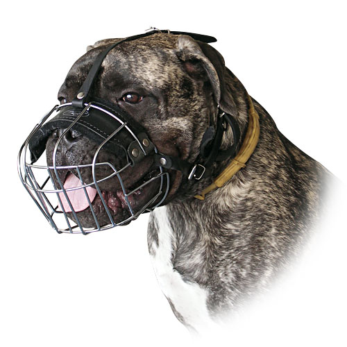 Basket Wire Dog Muzzle Light For Bullmastiff - M4light
