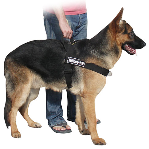 Buy German Shepherd Control Harness for Dogs