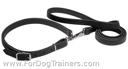 collar leash