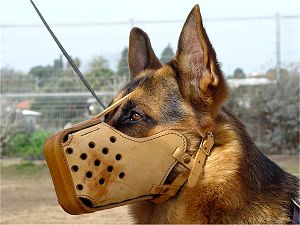 dog muzzle cage style