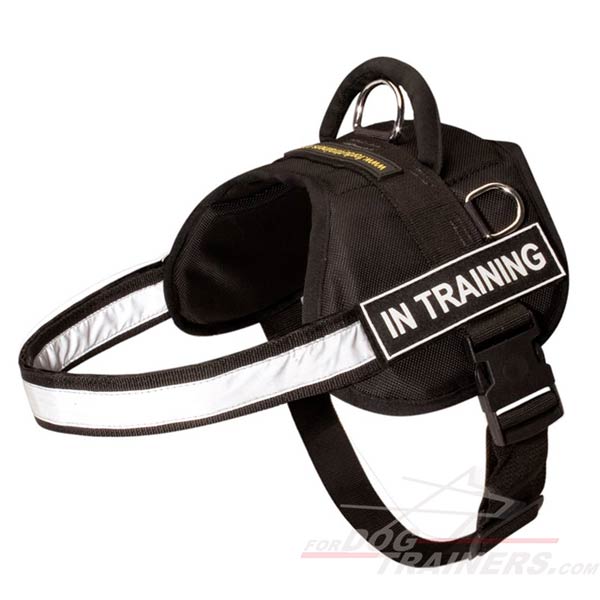 Any-weather dog harness