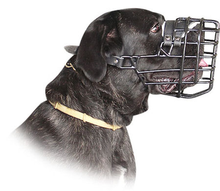 Perfect Rubber Coated Wire Cage Muzzle for Cane Corso Winter Walking/Training